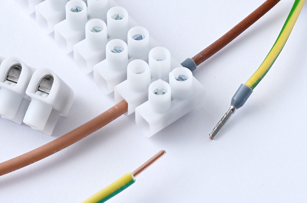 Wire clamped in a screw terminal